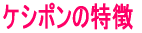 �P�V�|���̓��� 